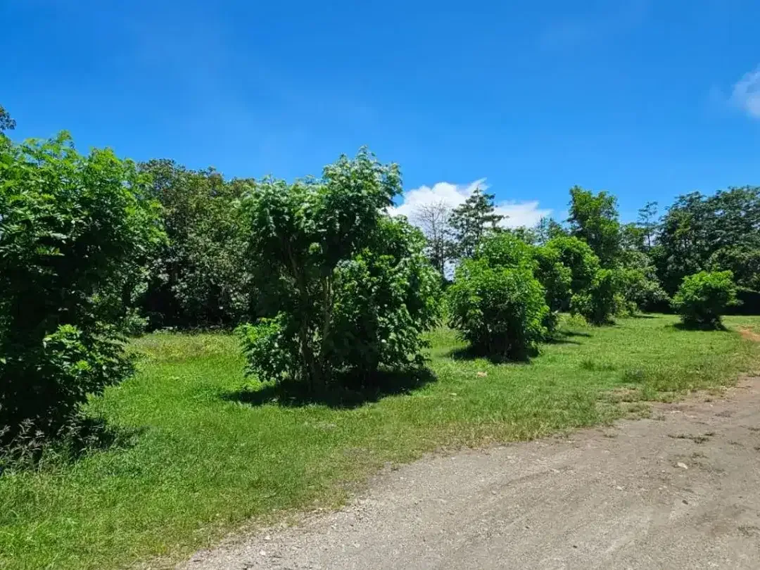Dijual Tanah Premium Zona Pariwisata 1 Hektar di Kawasan Mewah Pecatu - Image 2 of 7