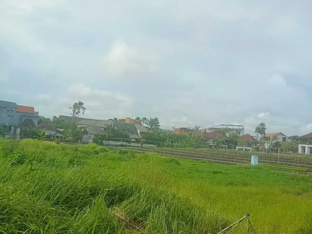 Land for sale in Mengwi, Bali - Image 3 of 10
