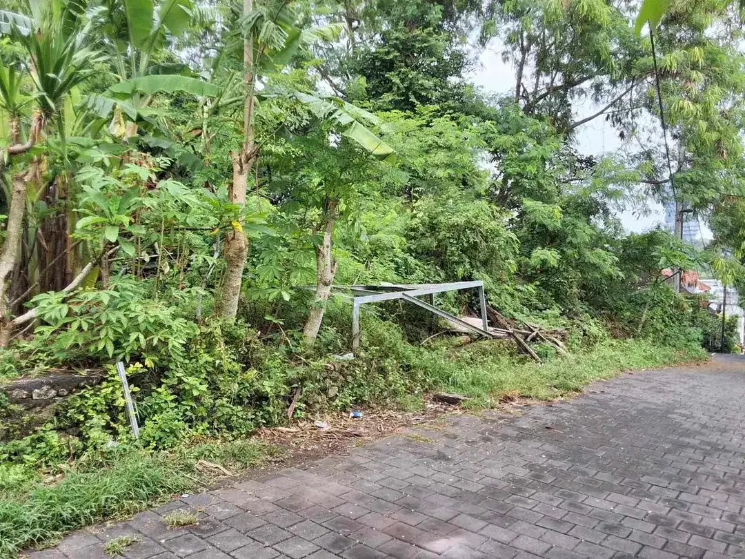 Sebidang tanah dengan luasan 12are berlokasi di kawasan Bali Kencana cocok untuk villa. - Image 3 of 6