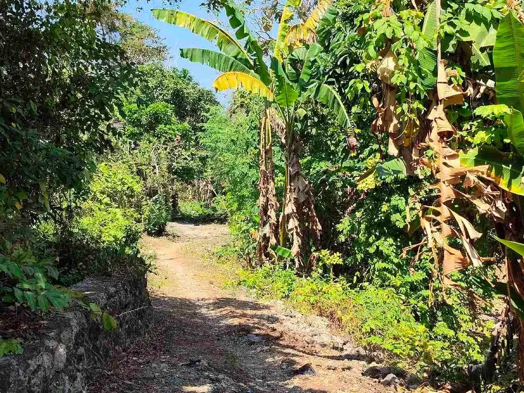 Tanah di Taman Giri Jimbaran Dekat Nusa Dua Bali - Image 2 of 5