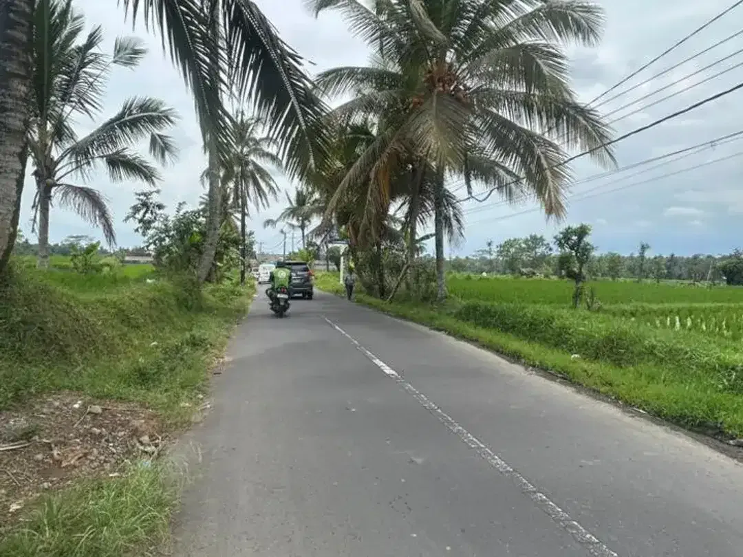 Rare! Tanah Kavling View Sawah – Lingkungan Asri, Legalitas Aman - Image 10 of 10