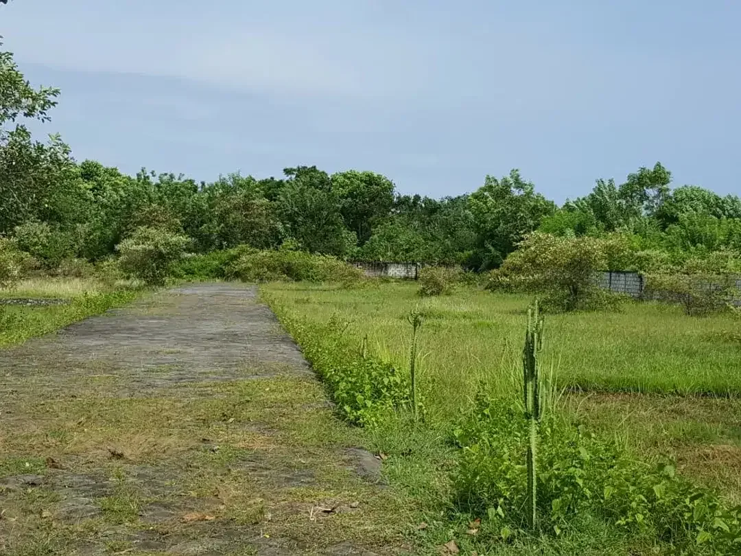 Tanah Kavling Hanya 800 Meter Ke Pantai Balangan Dijual - Image 1 of 4
