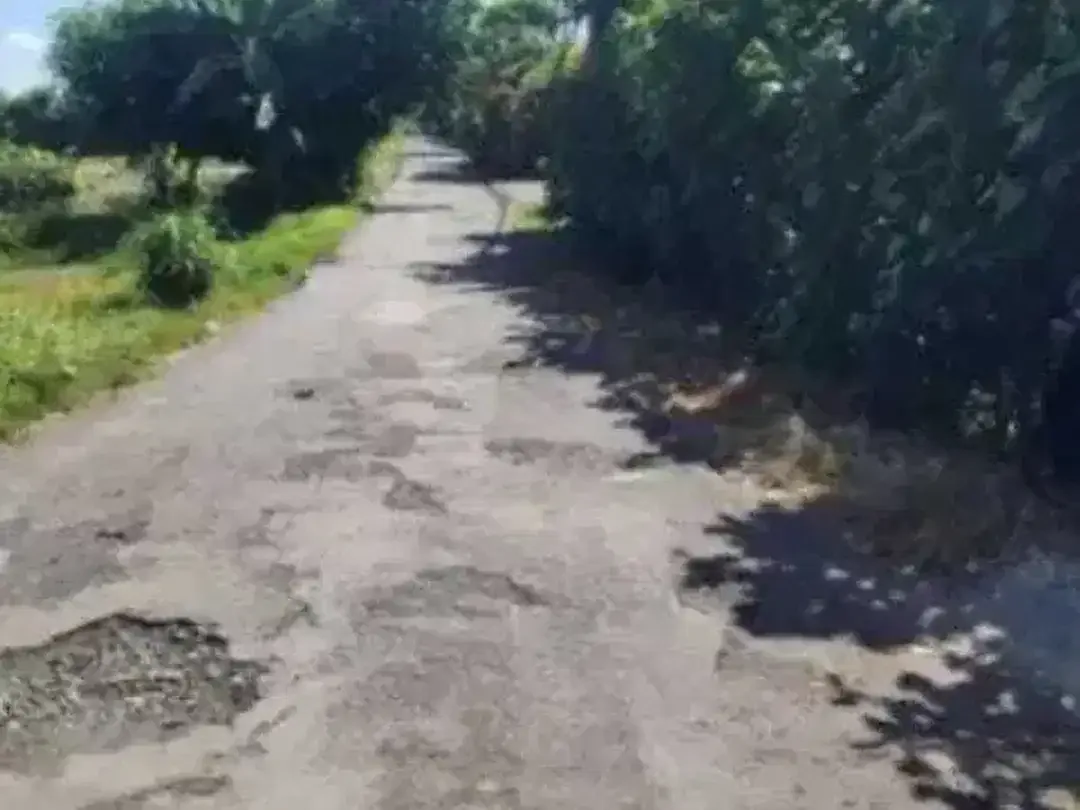 Land for sale in Denpasar Selata, Bali - Image 1 of 4