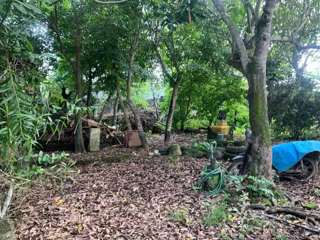 tanah bagus pinggir jalan dekat pantai cemagi Badung - Image 10 of 10
