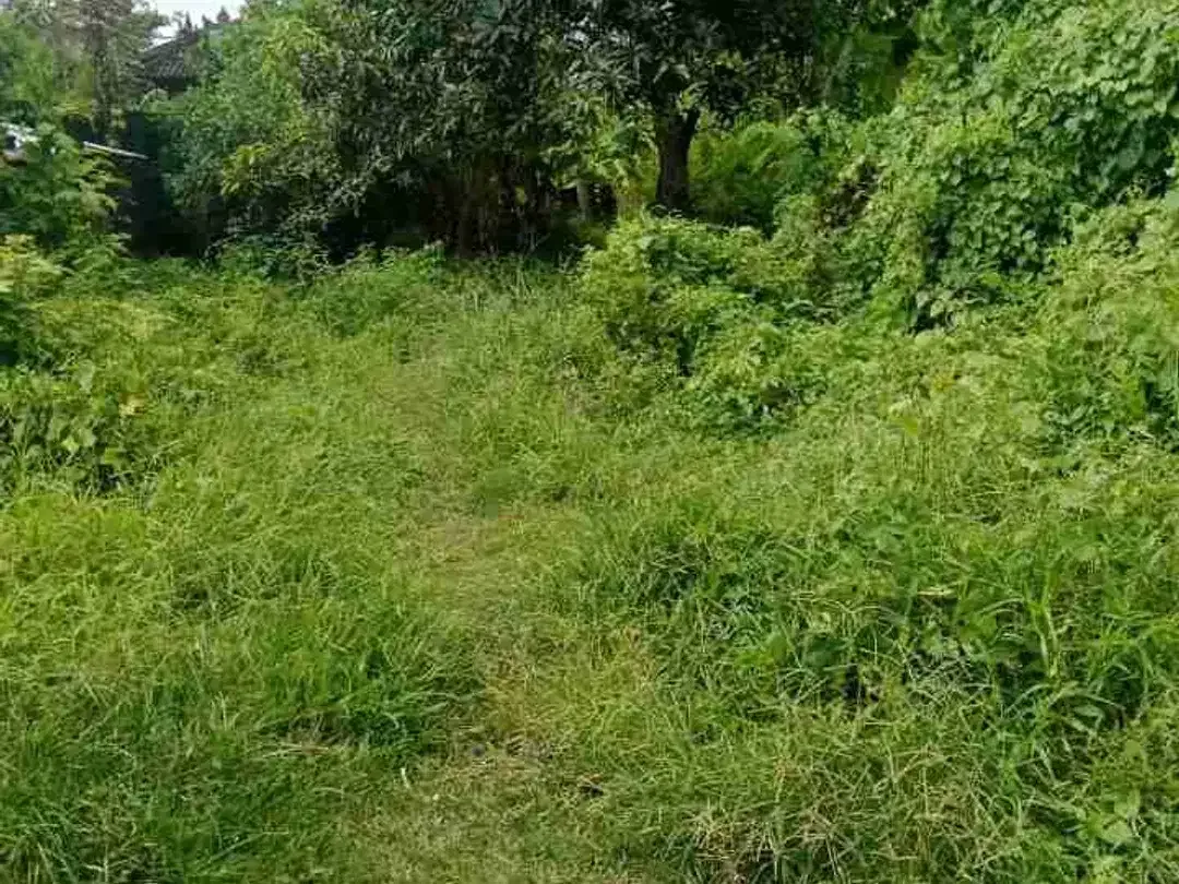 DIJUAL TANAH PADONAN CANGGU - Image 2 of 6