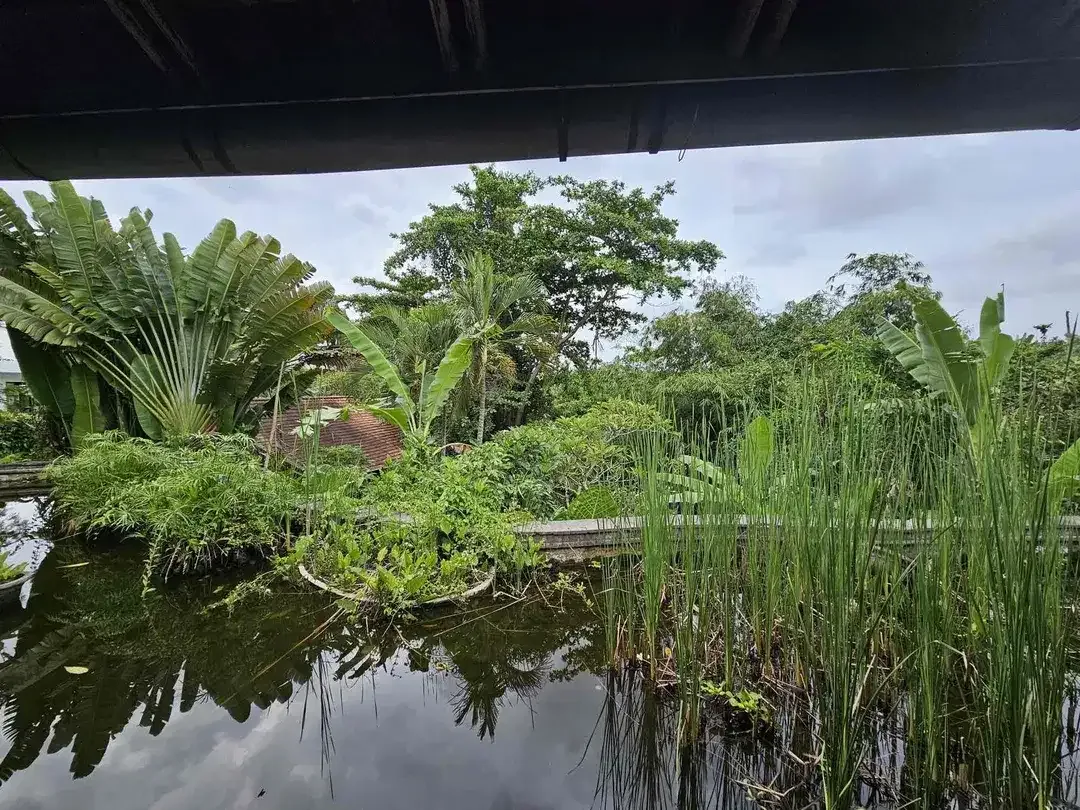 Dijual 

Tanah Komersil Los Sungai & View Sawah di Dekat  Canggu Bonus villa mangkrak - Image 2 of 5