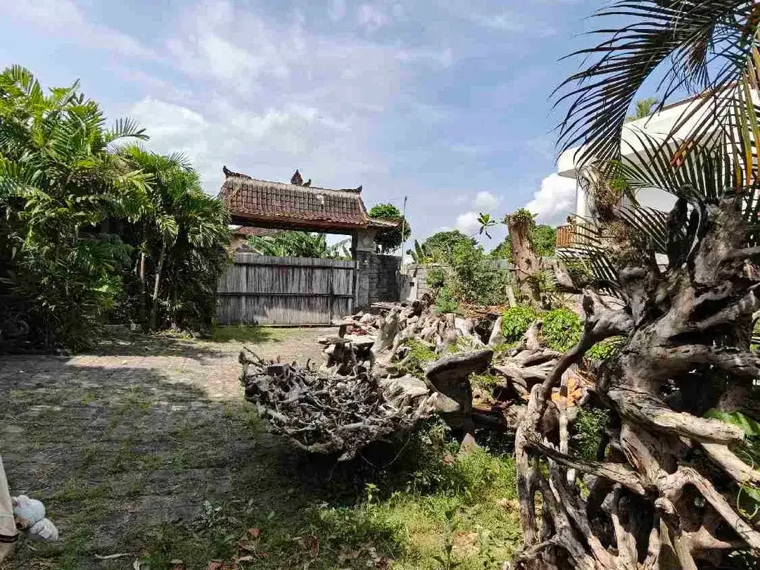 Lahan Langka plot kecil zona Kuning gg nangka kerobokan area nyaman strategis bebas banjir - Image 5 of 6