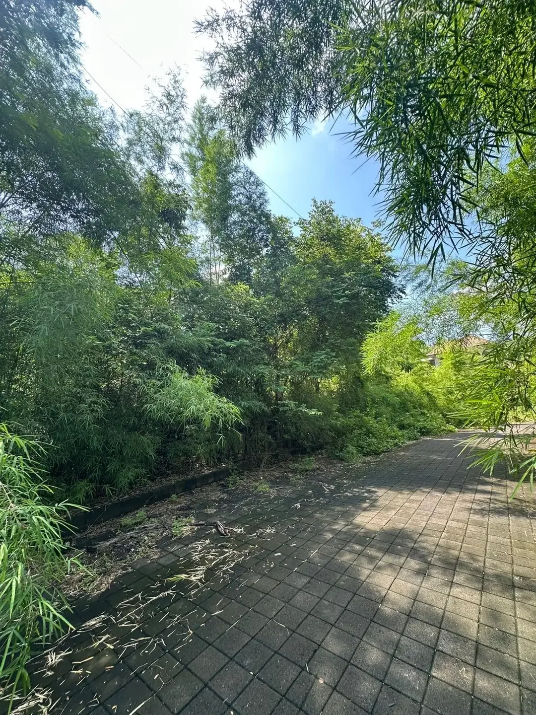 Tanah Premium Jl Taman Kebo Iwa Benoa Nusa Dua - Image 2 of 8
