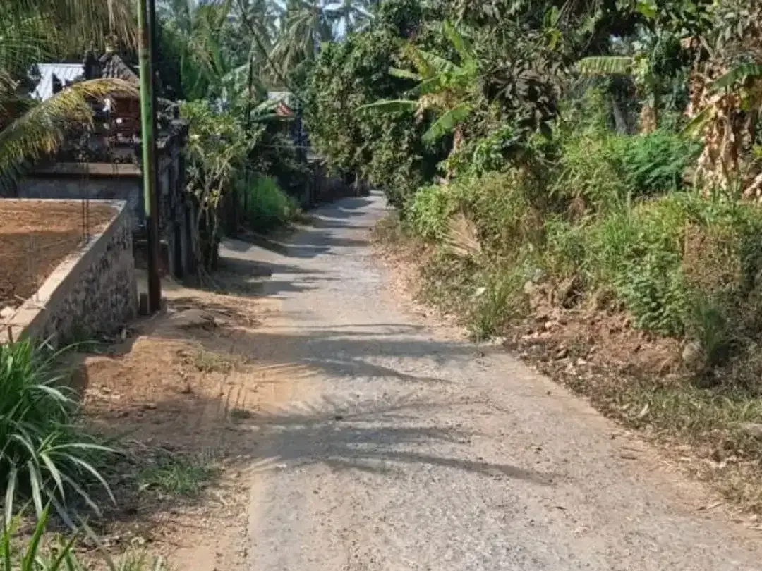 TANAH DI KUBUTAMBAHAN BULELENG - Image 3 of 6