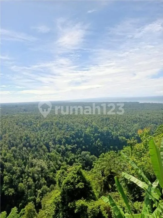 Tanah Premium Eksklusif dengan Izin Hotel di Tabanan Barat Triple View - Image 2 of 4