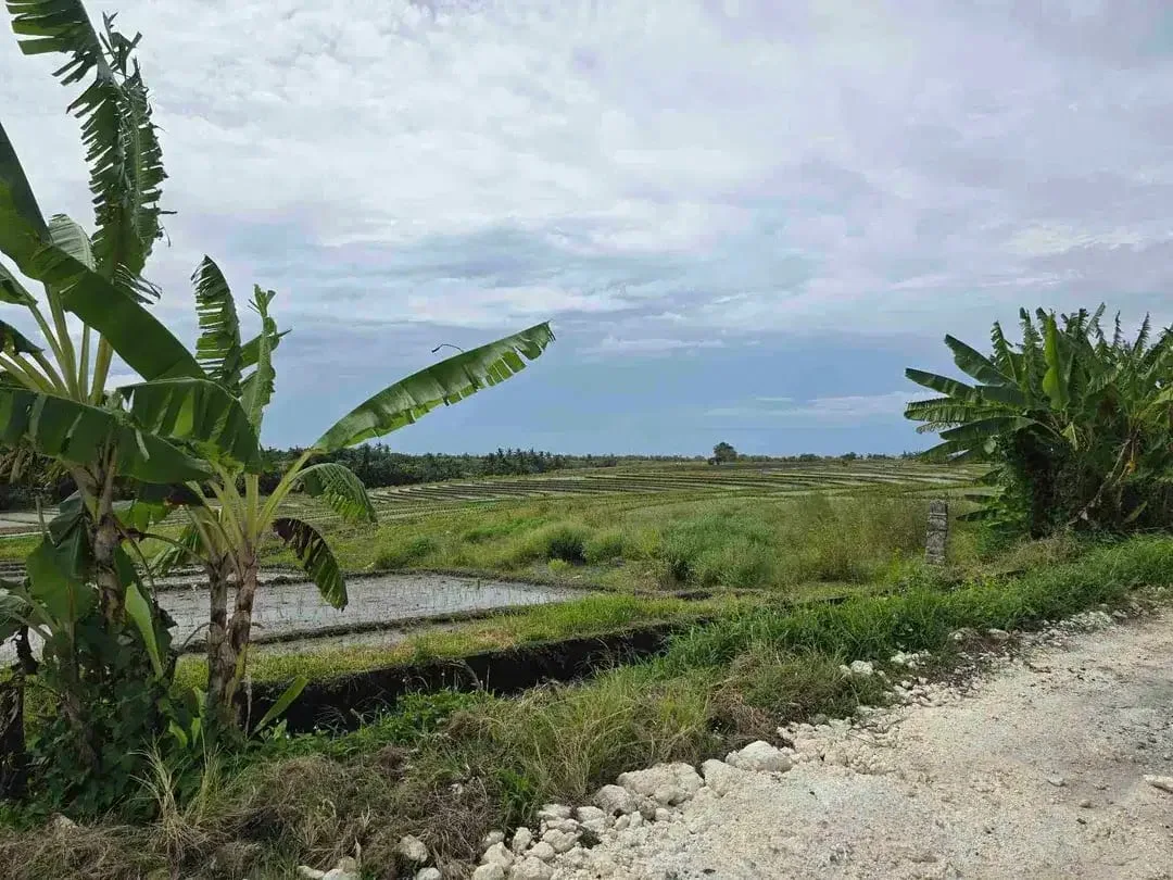 Dijual tanah kecil murah dekat pantai pasut tabanan bali - Image 5 of 10