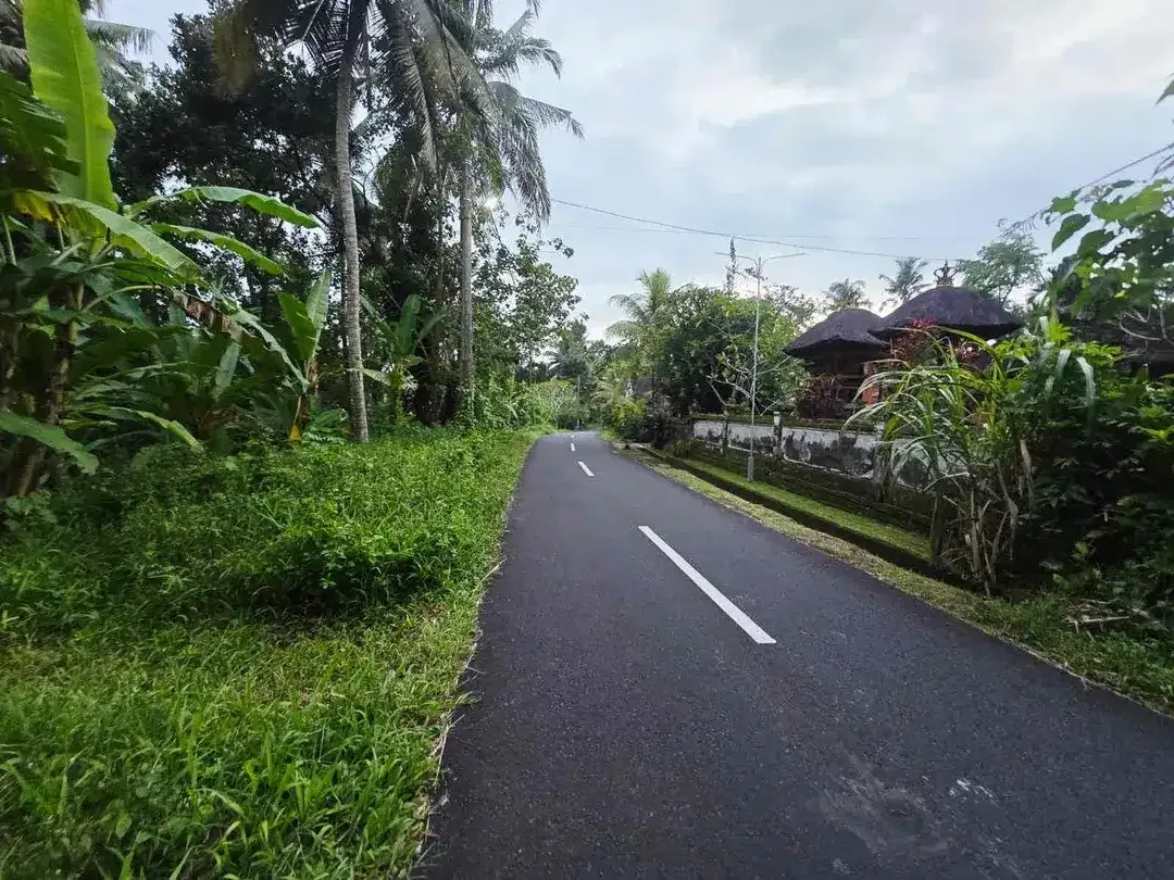 DIJUAL TANAH MURAH DI TABANAN
Batuaji - Image 2 of 10