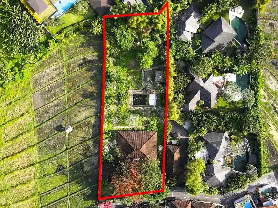 Tanah PREMIUM View Sawah Jl Umalas Kuwum Kerobokan - Image 9 of 10