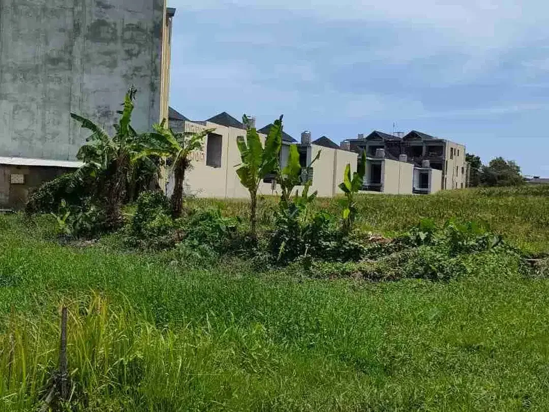 Tanah premium 5 are berawa canggu view sawsh lebar 16,3m 1,650M/are dekat ATLAS & FINS BEACH - Image 3 of 10
