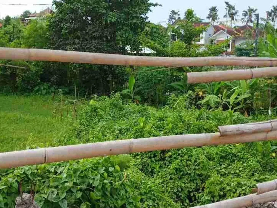 TANAH PLOT KECIL SIAP BANGUN, TEGAL CUPEK KEROBOKAN. BADUNG - Image 8 of 10