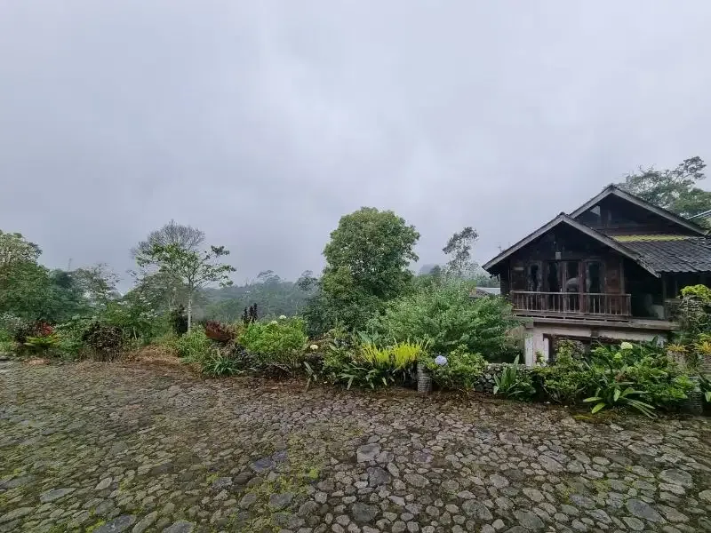jual Villa   Cantik di daerah Wisata Bedugul udara sejuk nyaman - Image 3 of 10