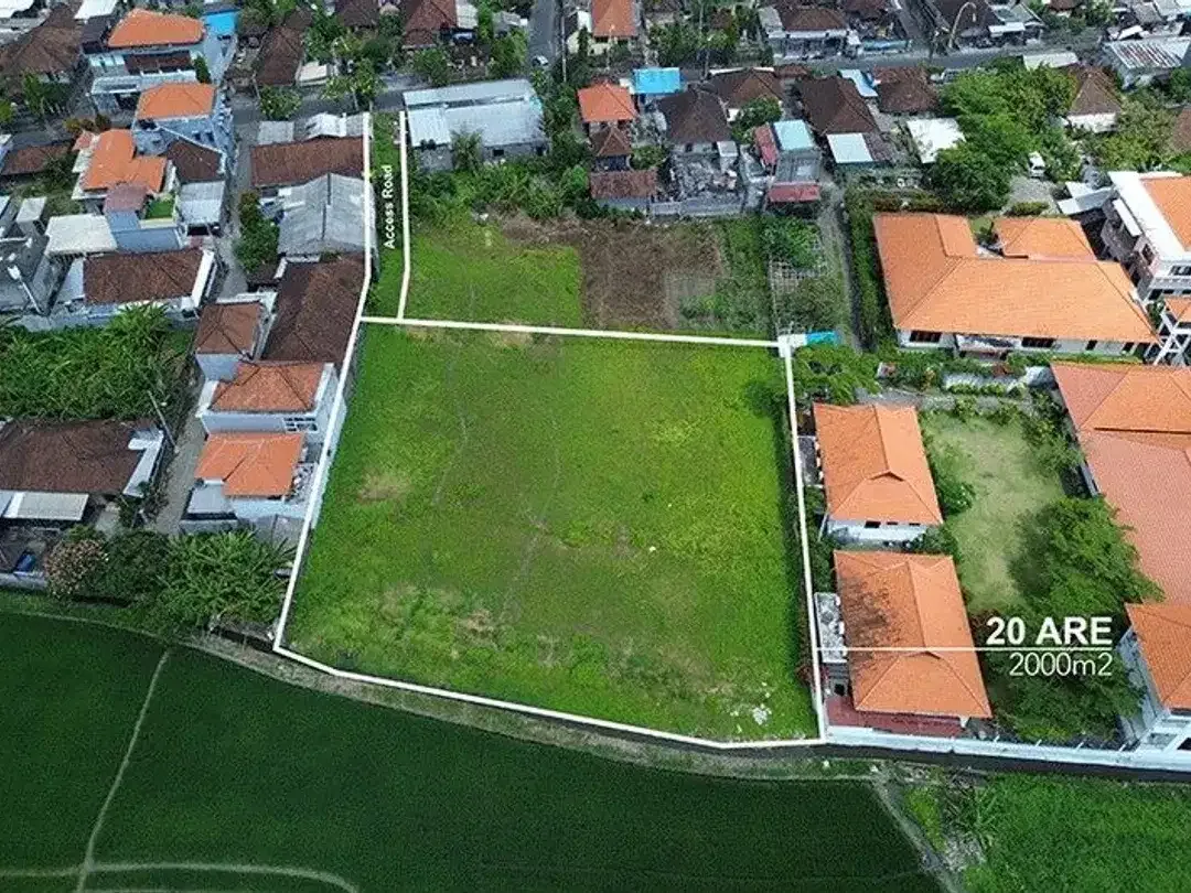 Leasehold - Tranquil 2000 sqm Leasehold Land with Rice Field View in Babakan, Canggu - Image 1 of 7
