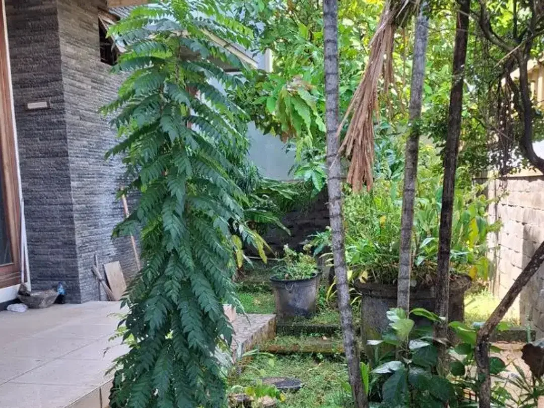RUMAH MEWAH STRATEGIS AREA DENPASAR TIMUR - Image 1 of 6