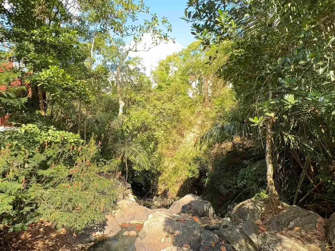 jual tanah kebun durian area villa Los sungai di manikyang selemadeg tabanan bali. - Image 2 of 10
