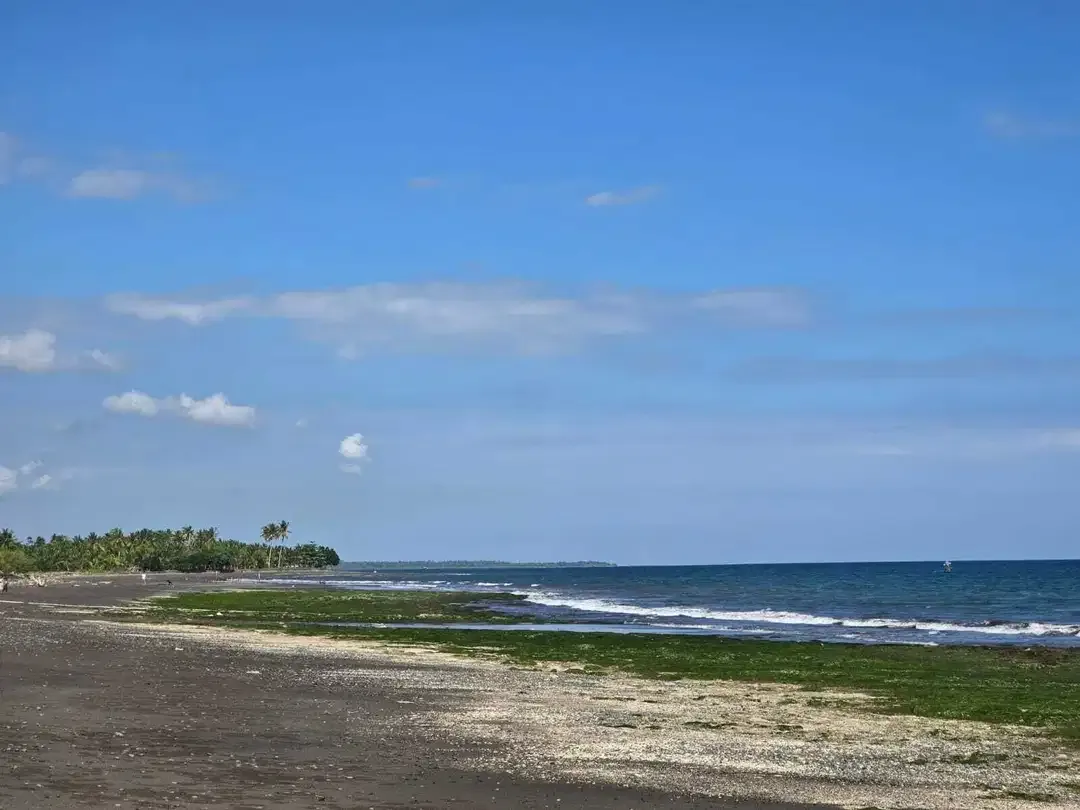 Dijual tanah kecil los pantai di bali - Image 4 of 10