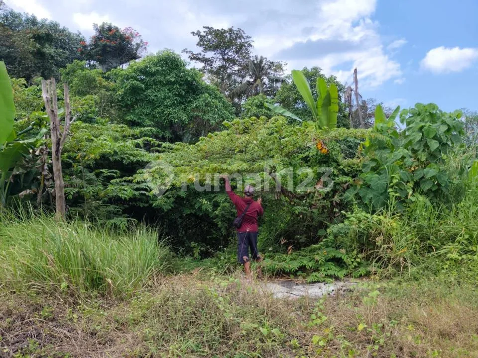 Dijual / Disewakan Tanah Premium dan Ekslusif di Keramas, Gianyar - Image 4 of 4