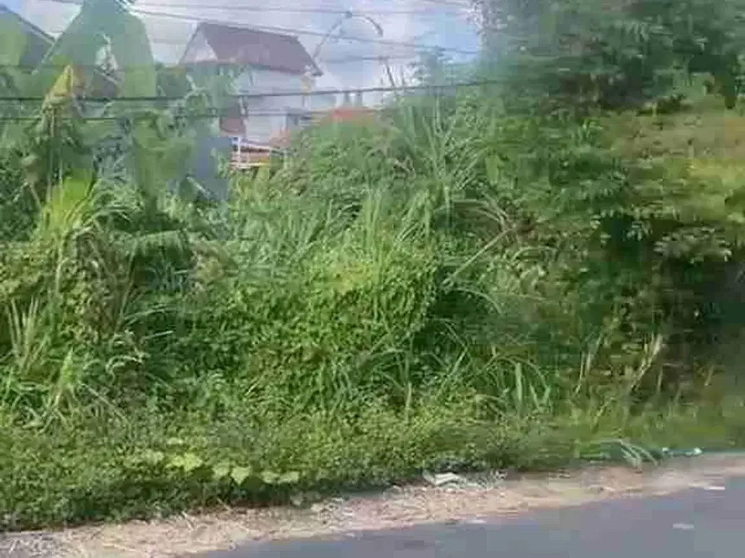 Tanah drupadi renon - Image 6 of 6