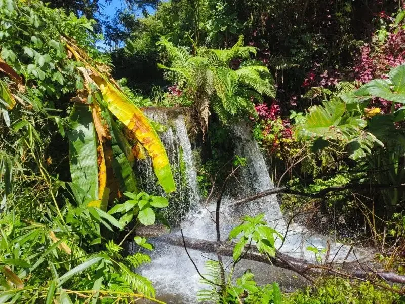 Dijual tanah murah dengan air terjun di bali - Image 1 of 10