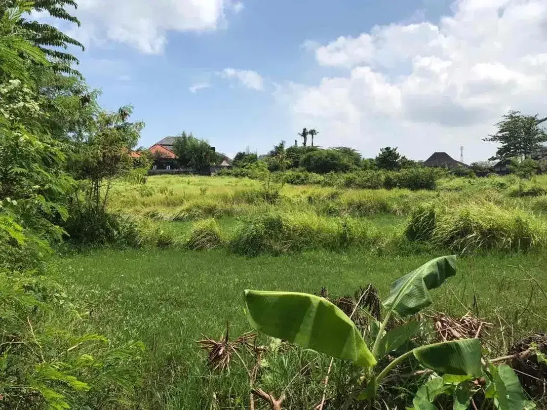 Dijual Tanah di Jalan Umalas II Kerobokan Kuta - Image 1 of 10