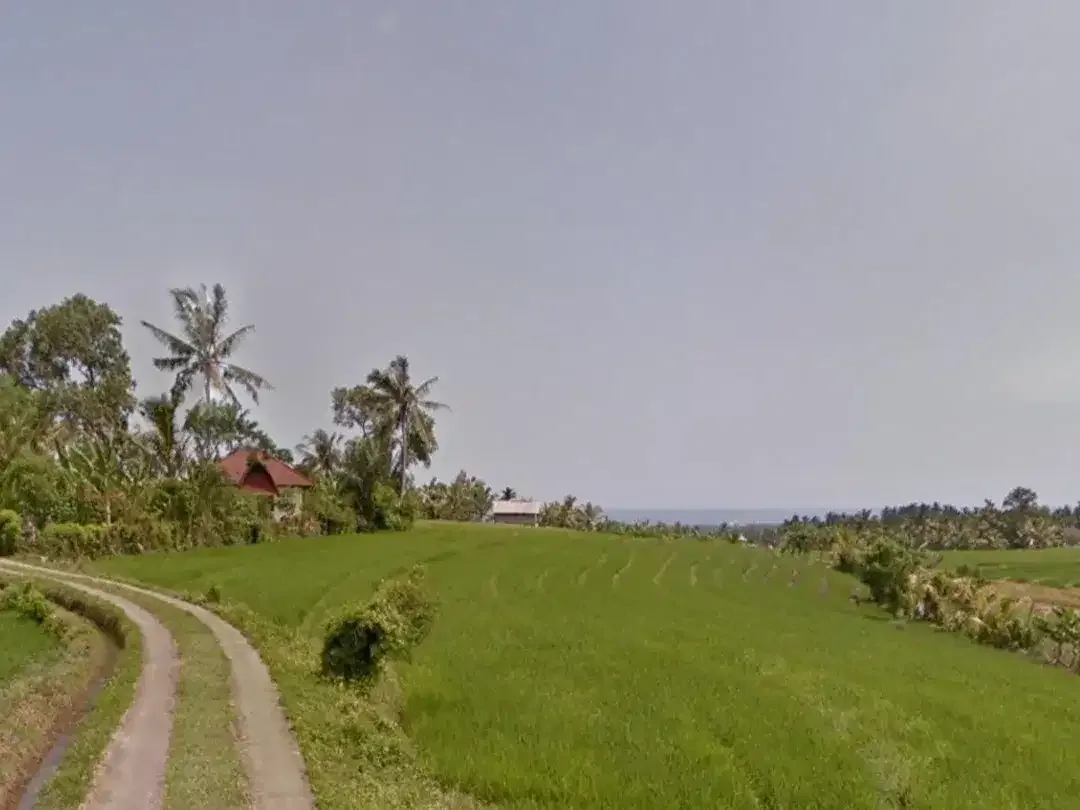 Tanah sawah di Mambang Selemadeg Tabanan Bali - Image 1 of 4
