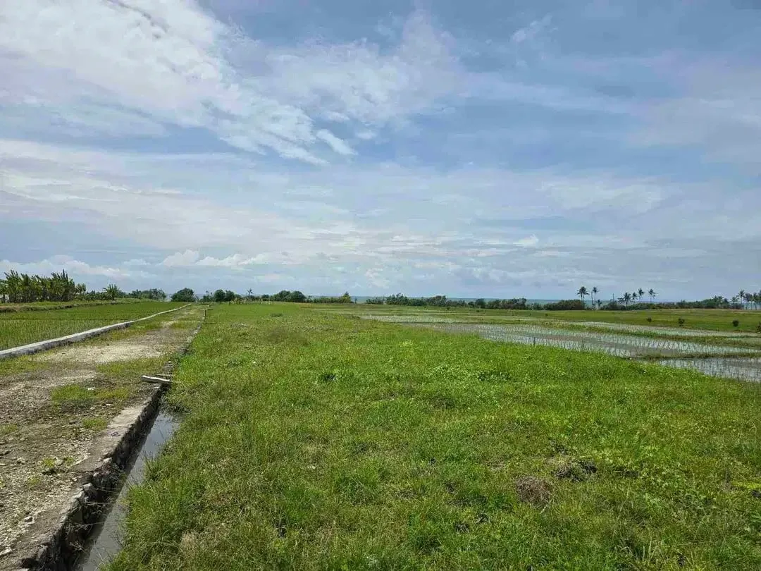dijual tanah kecil view laut sawah di pantai pasut tabanan bali - Image 5 of 10
