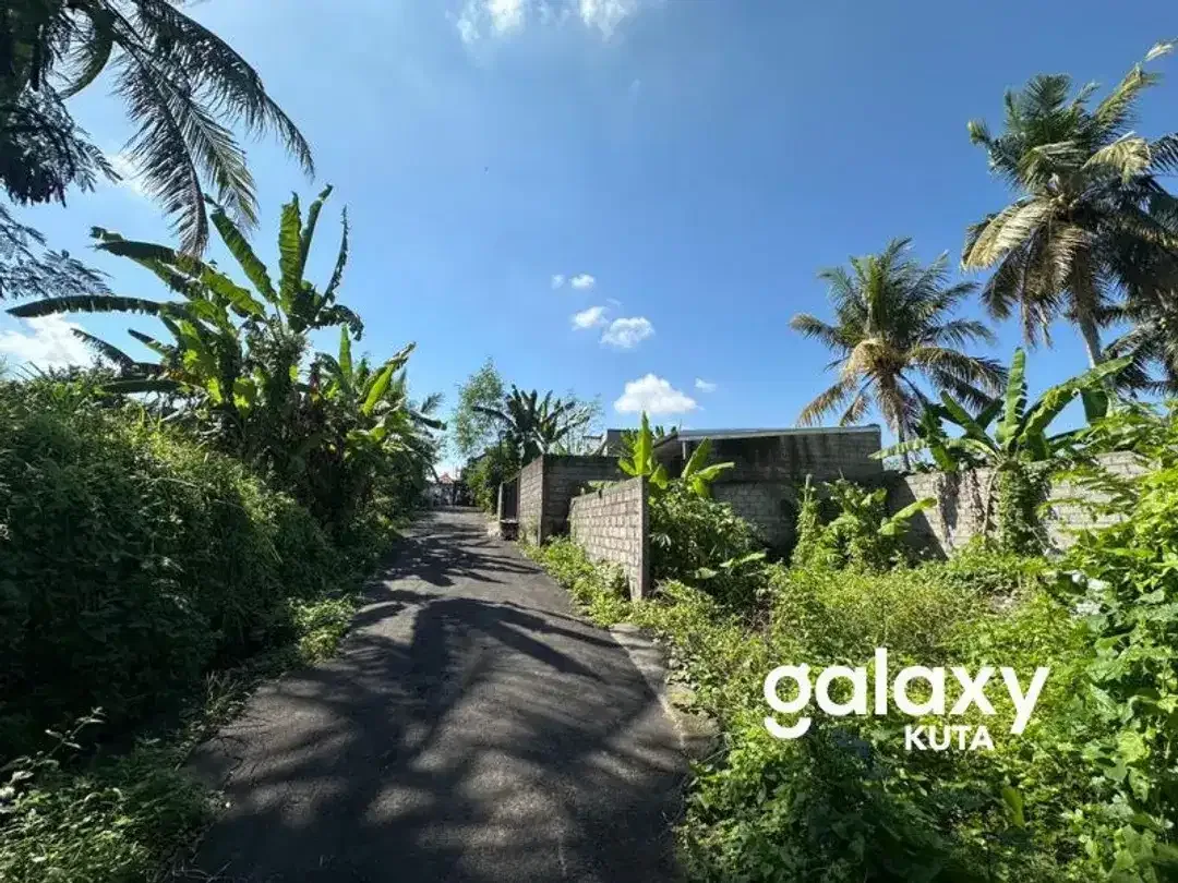 DIJUAL TANAH CEPAT DI BURUAN GIANYAR - Image 4 of 6