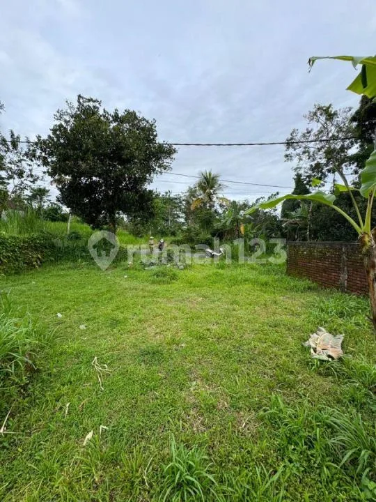 Tanah Murah Jalan Utama Jasan Sebatu Tegalalang Ubud Bali - Image 4 of 4