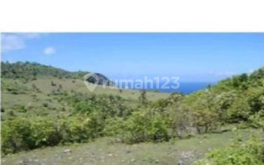 Tanah Cocok Utk Resort di Nusa Penida, Pinggir Laut Tebing - Image 2 of 4