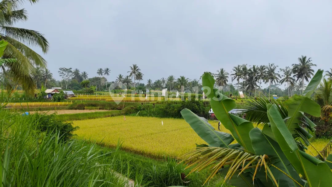 Dijual Tanah View Cantik Cocok Untuk Hotel Villa Dan Resort - Image 4 of 4