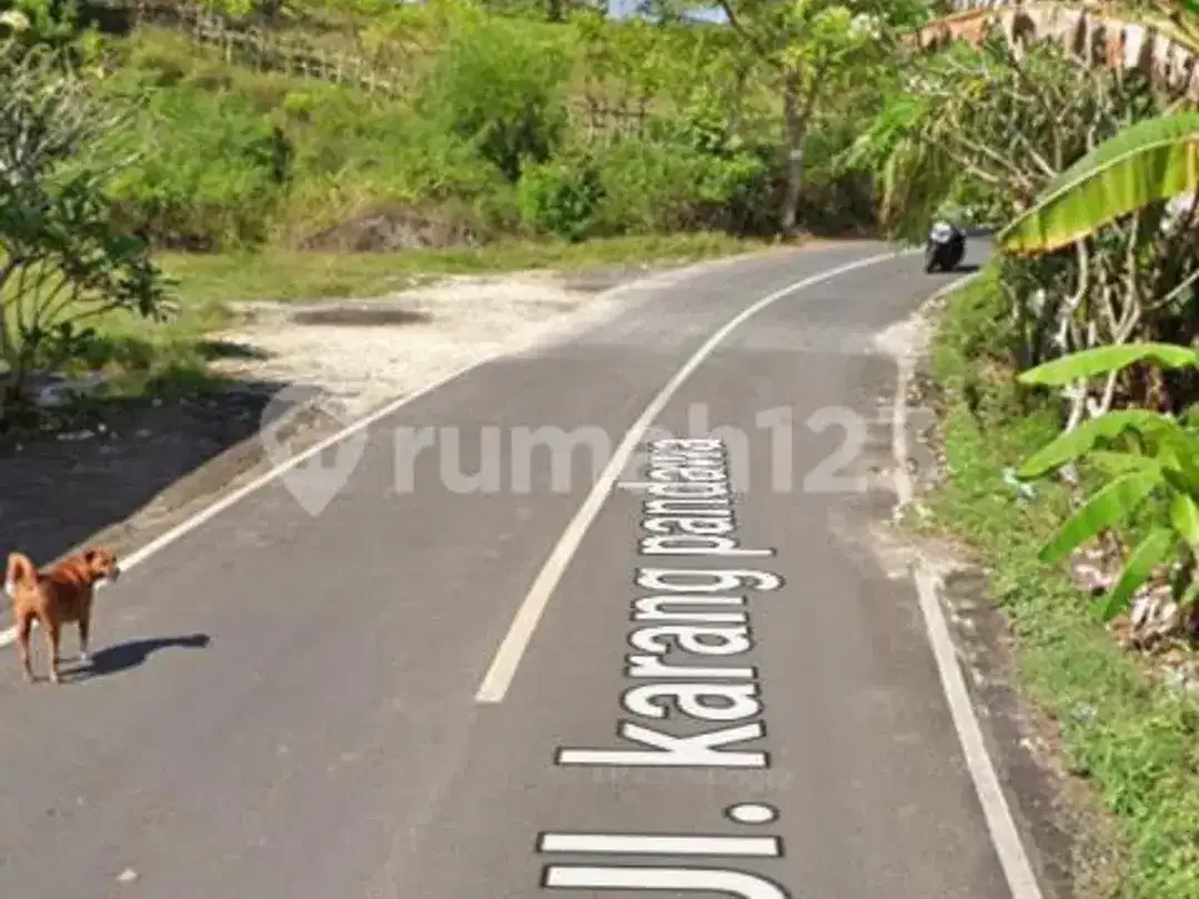6 Menit ke Pantai Pandawa Investasi Tanah Strategis untuk Villa - Image 3 of 5