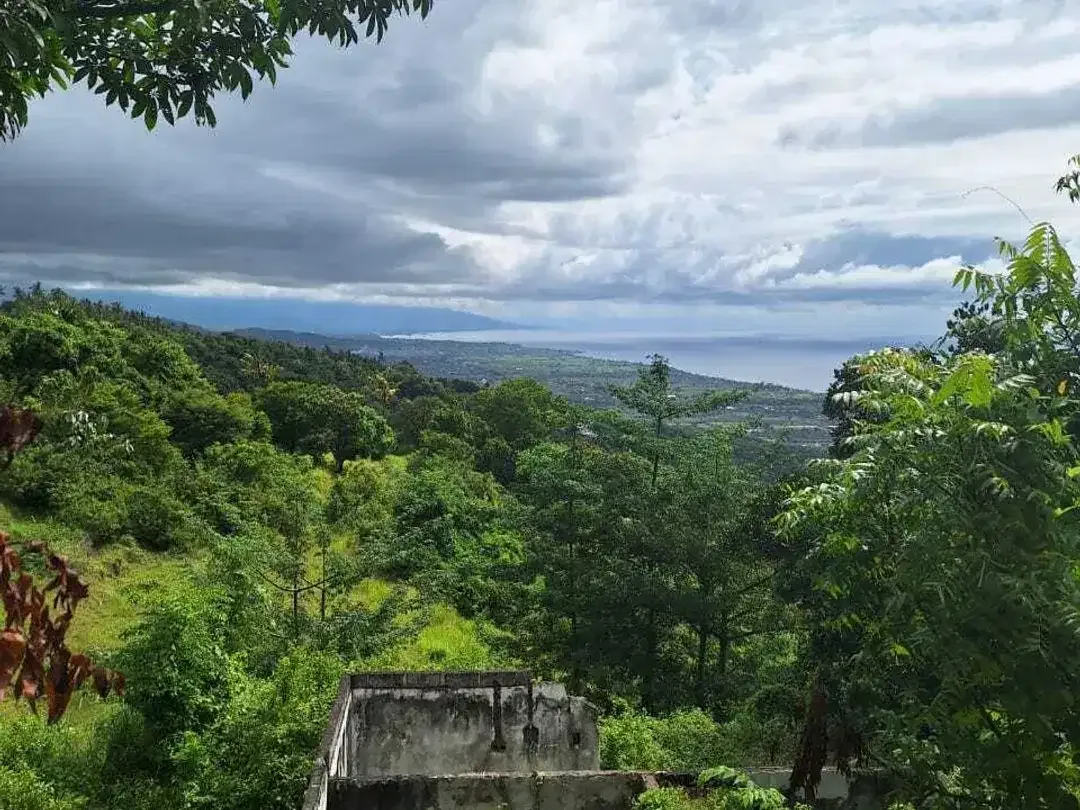 FREEHOLD LAND FOR SALE – LOVINA HILL Bali - Image 1 of 10