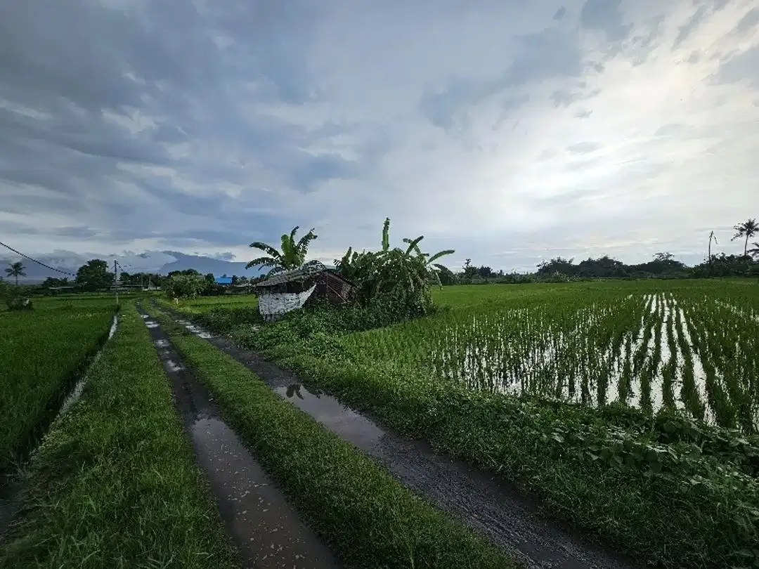Land for sale beach front at north Bali - Image 3 of 10