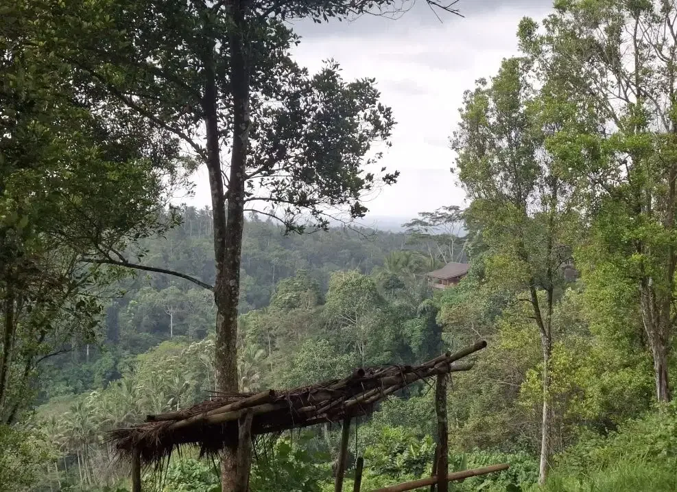 Dijual tanah los sungai besar dan view air terjun, gunung dan sawah - Image 6 of 10