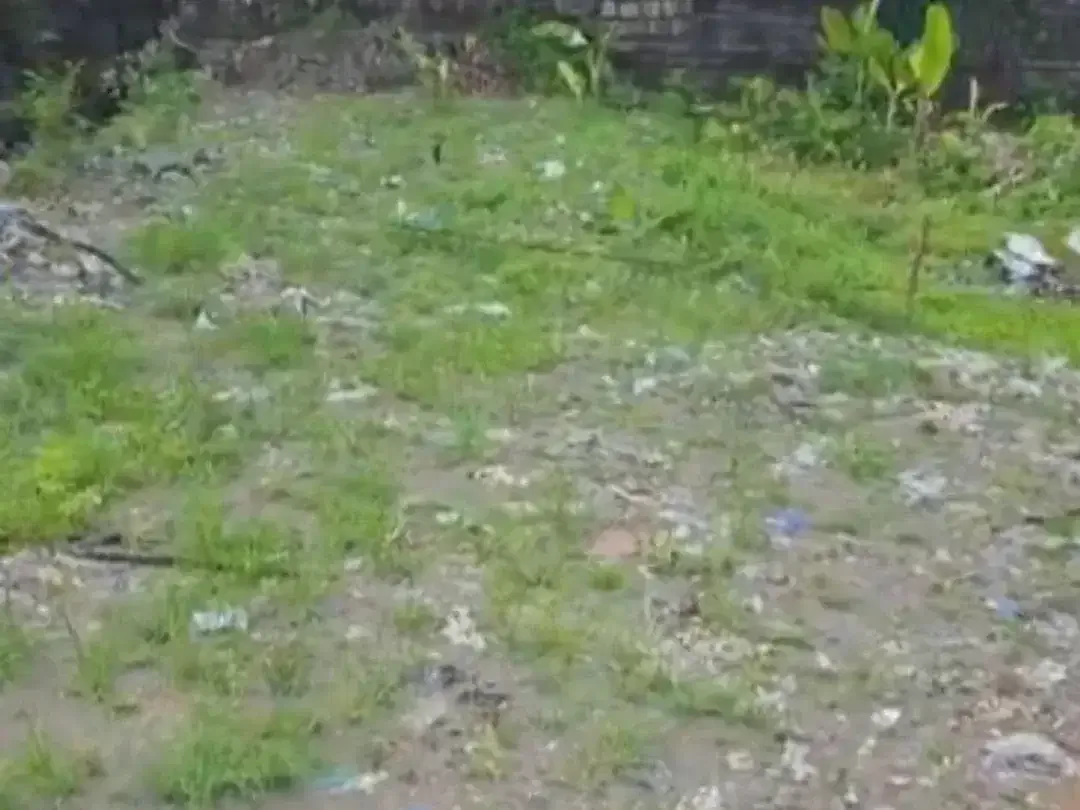 Kesempatan Sewa Eksklusif: Kavling Tanah Premium di Sanur Kauh, Bali – Sewa Jangka Panjang - Image 2 of 4