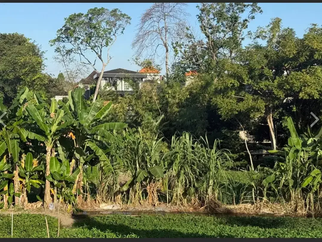 Leasehold - Rare Riverside Leasehold Land in Padonan, Canggu Area - Image 4 of 7