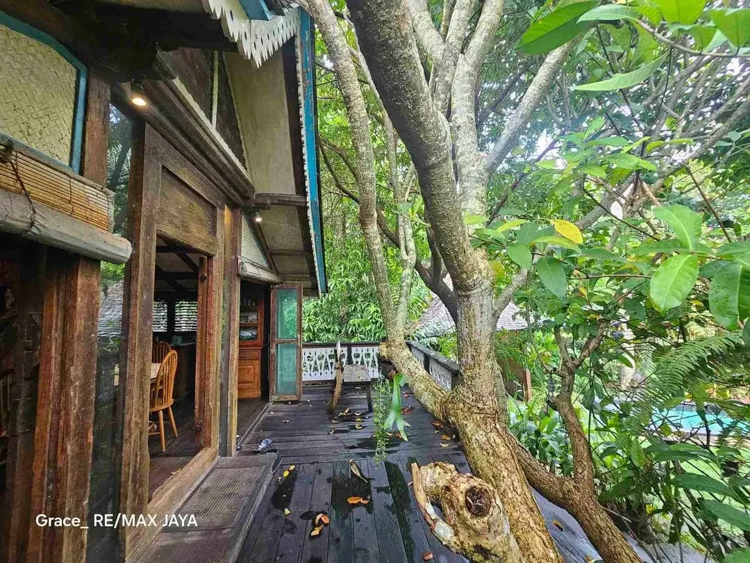 Jual Cepat! Tanah Premium 6.5 Are dekat Sensorium Canggu Bali - Image 4 of 10