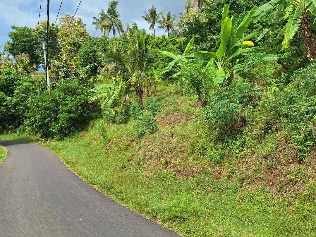 FREEHOLD LAND FOR SALE – LOVINA HILL Bali - Image 3 of 10