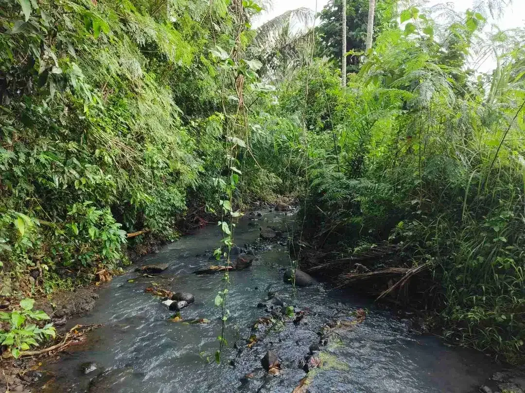 di jual tanah strategis dekat pantai zona pink Los sungai view sawah di tabanan bali - Image 3 of 9