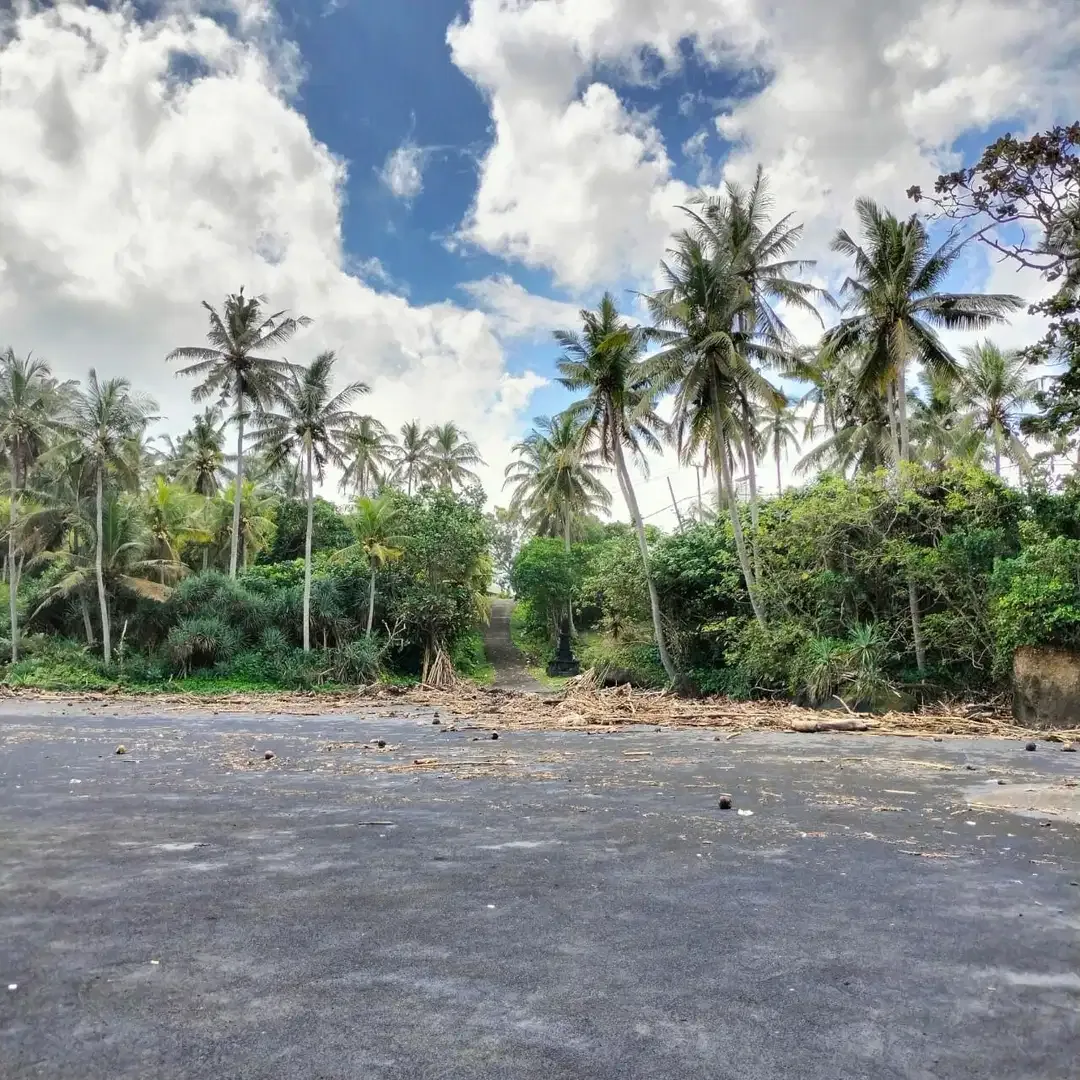 Dijual Tanah Prime Beachfront di Pantai Soka, Antap, Tabanan - Image 3 of 6