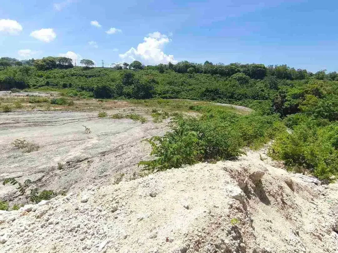 dikontrakkan tanah 1 hektar IDR 20 JT/are/tahun kawasan Melasti beach Ungasan Kuta Selatan Badung Bali - Image 4 of 10