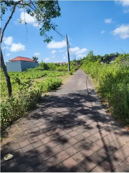 Land for lease at ungasan - Image 6 of 10