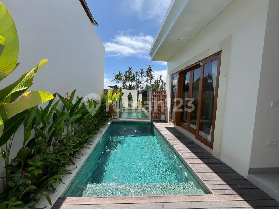 One Bedroom Villa For Rent - Image 1 of 4
