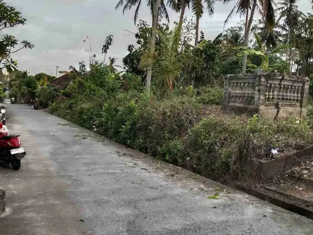 Di jual tanah luas 350 m2 di yeh Gangga tidak jauh ke pantai dan cocok untuk villa atau investasi - Image 6 of 10