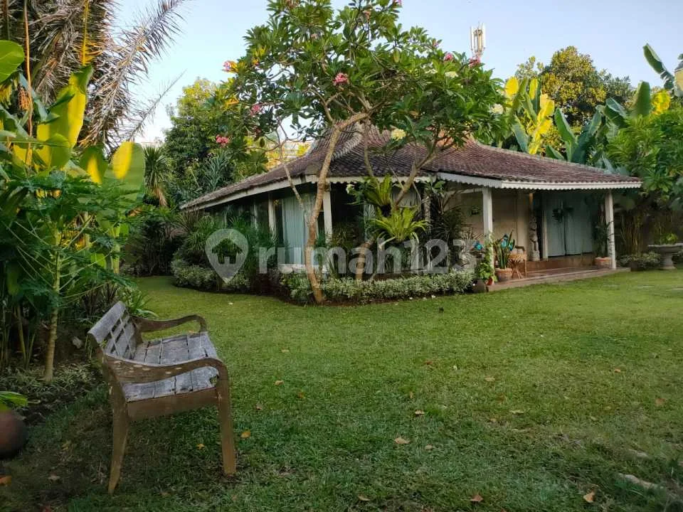 Rumah/Villa Full Furnish Area Sanur Denpasar Dekat Bypass Ngurah Rai - Image 3 of 4
