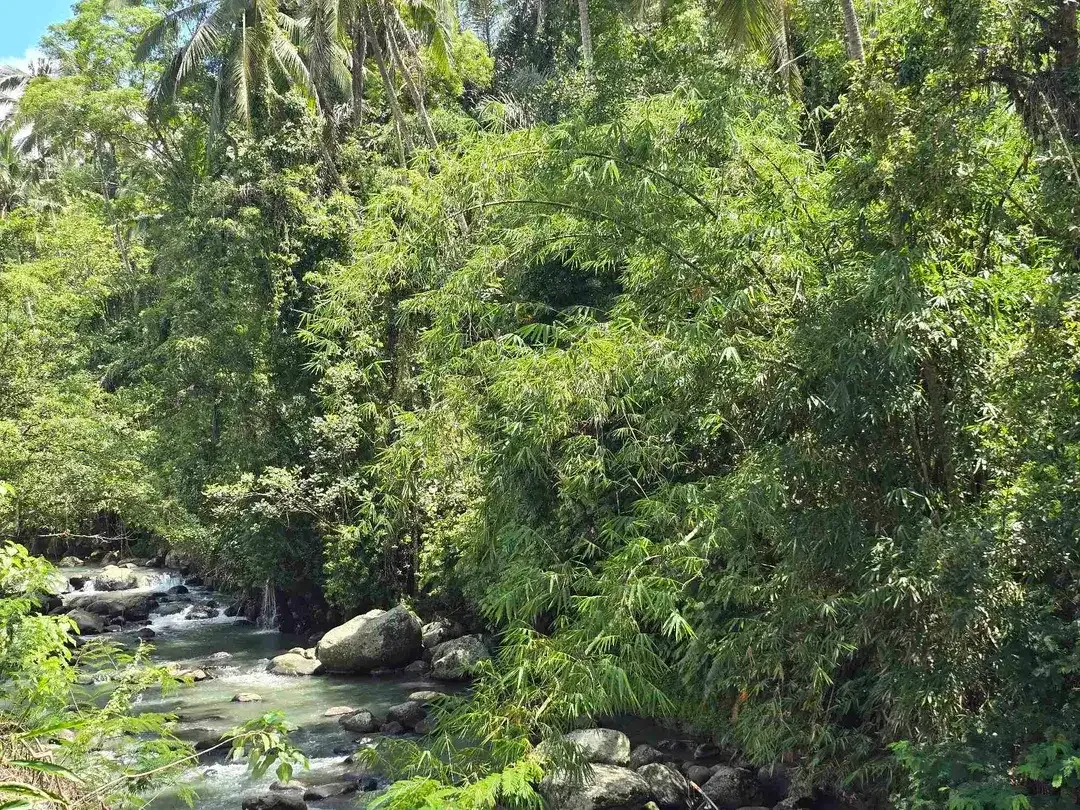 dijual tanah kecil los sungai air jernih bebatuan di penebel tabanan bali - Image 1 of 10